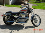 1999 Harley-Davidson Sportster 883 Custom